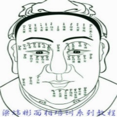 梁炜彬手相面相学网上培训班【仅为展示不经营不销售】